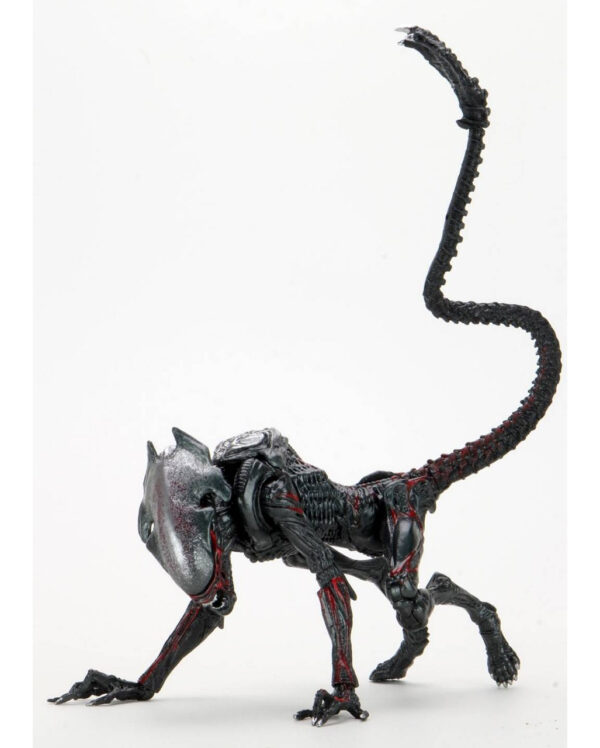 Aliens Action Figur Night Cougar Alien 23cm ➤