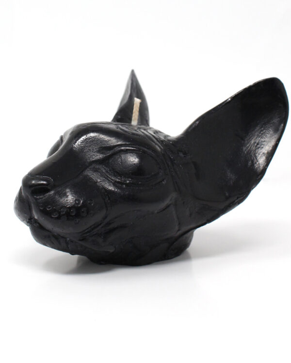 Black Sphynx Gothic Duftkerze 8x10cm  JETZT ordern!