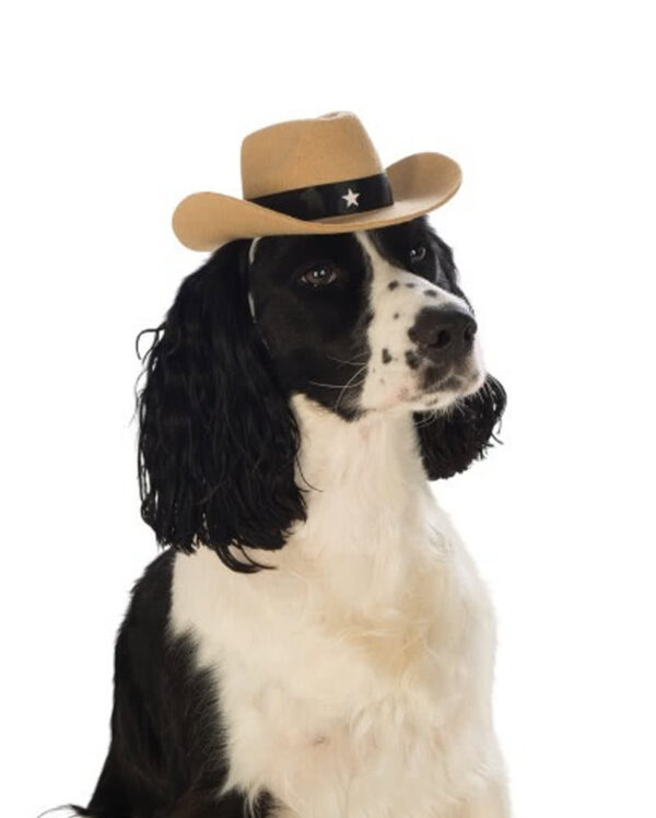 Brauner Cowboyhut für Hunde  Tierkostüme günstig kaufen M/L