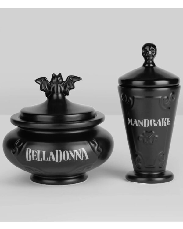 KILLSTAR Herbalist Aufbewahrungsbehälter 2er Set ★ Gothic Homeware