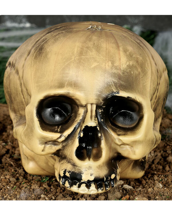 Kunststoff Totenkopf ohne Kiefer 20cm kaufen