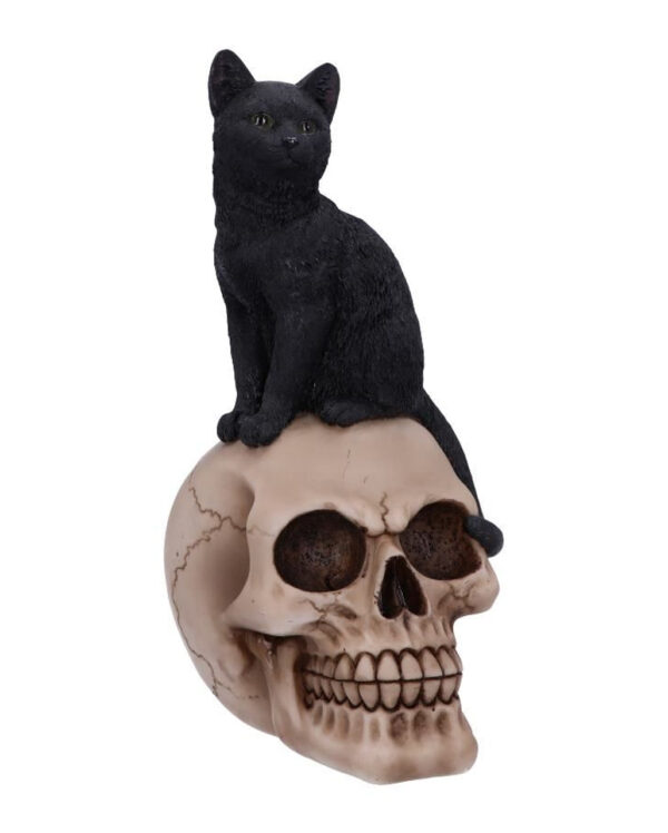 Schwarze Katze auf Totenkopf 24,3cm bestellen