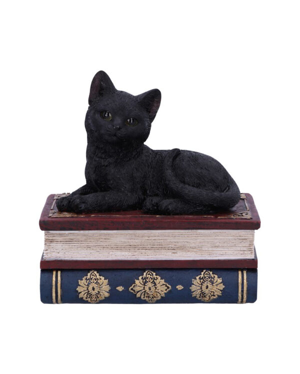 Schwarze Katze auf Zauberbücher Box 11,7cm ★