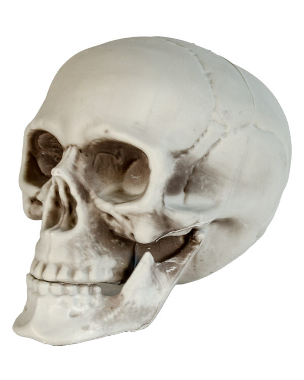 Wetterfester Totenkopf mit beweglichem Kiefer 20cm ◆