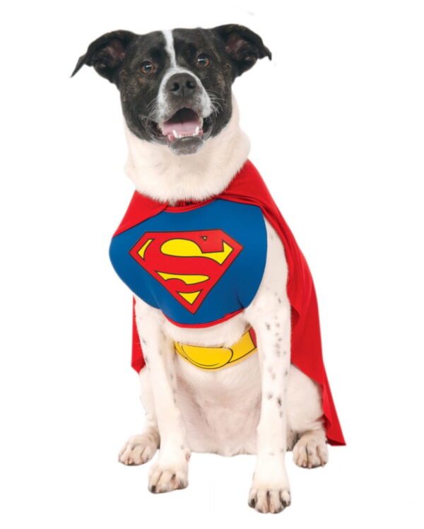 Superman Hunde Kostüm M