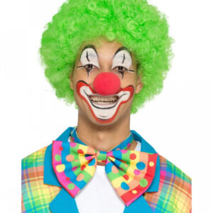 Bunte Clown Fliege