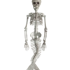 Skelettierte Meerjungfrau 45cm