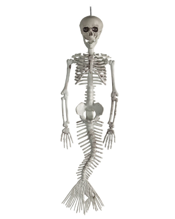 Skelettierte Meerjungfrau 45cm