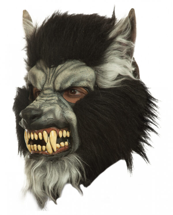 Graue Wolf Maske mit fletschenden Zähnen