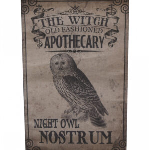 Night Owl Nostrum Vintage Halloween Leinwand Deko 66cm