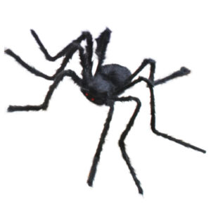 Schwarze Riesenspinne 90cm