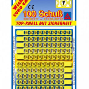 100 Schuss Einzel Munition