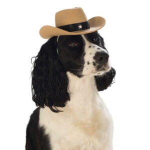 Brauner Cowboyhut für Hunde M/L