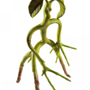 Fantastic Beasts biegsamer Bowtruckle 19cm