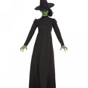 Wicked Witch Hexenkostüm für Erwachsene L