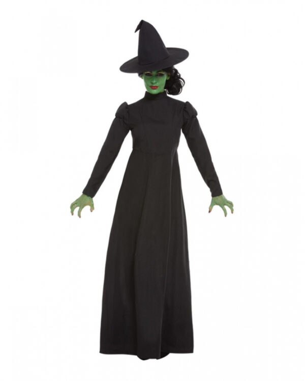 Wicked Witch Hexenkostüm für Erwachsene L