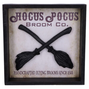 Hocus Pocus Hexenbesen Wandbild 20cm